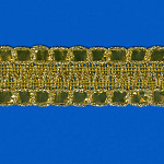 PASSAMANARIA CARNAVAL METALOIDE DUPLO 3,3cm OURO 20m