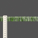 FRANJA LISA MOANA 2,3cm CHAMPAGNE/VERDE/PRETO 10m