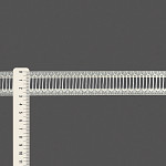 PONTO PALITO 2,9cm CHAMPAGNE 50m