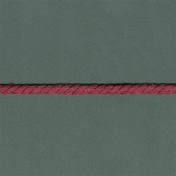 CORDÃO GROSSO 10mm BORDO 30m