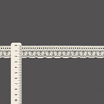 RENDA BOLINHA SOFT 2,4cm CHAMPAGNE 30m