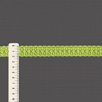 ENTREMEIO BICO 2,1cm VERDE LIMA 50m