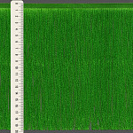 FRANJA FINA LISA 19,8cm VERDE MAÇÃ 10m