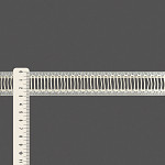 PONTO PALITO 2,9cm CHAMPAGNE 50m