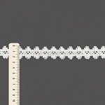 RENDA GABRIELA 2,5cm BRANCO 30m RENDA GABRIELA 2,5cm BRANCO 30m